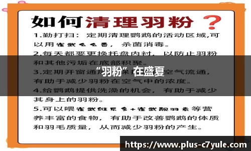 “羽粉”在盛夏